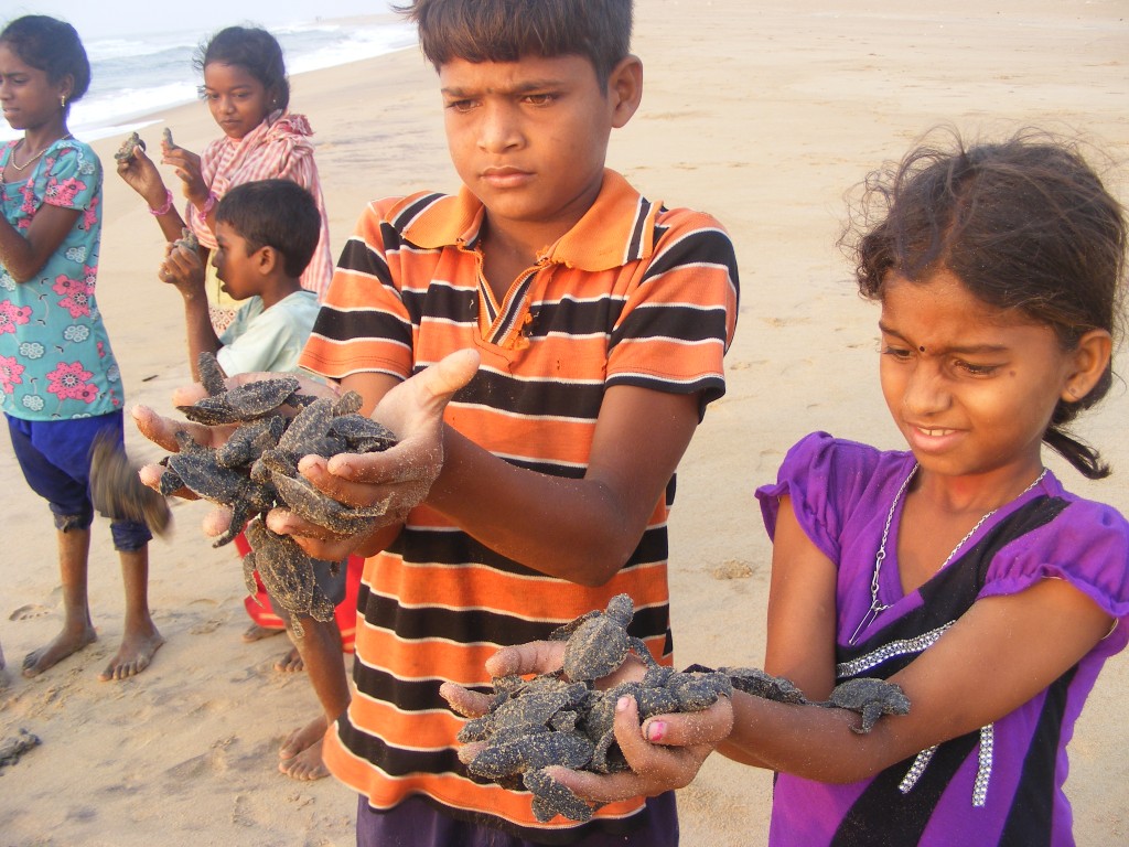 Odisha, India. Why Do Communities Conserve? Lessons from Samudram Women’s Federation (India)