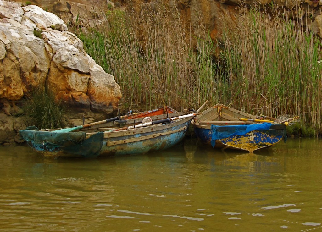 Olifants Estuary, South Africa Community Stories CCRN