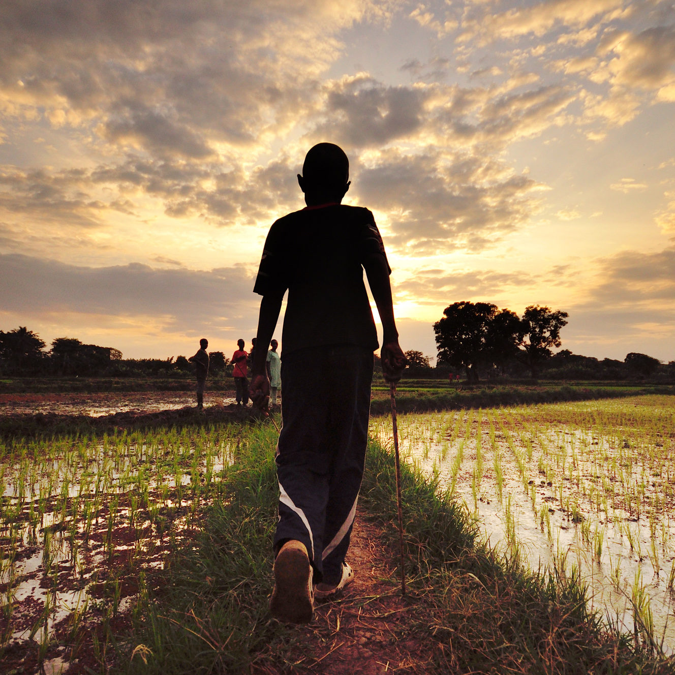 farm-boy-gambia