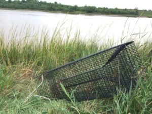 Napikwan Community Conservation Research Network | The Sipekne’katik River