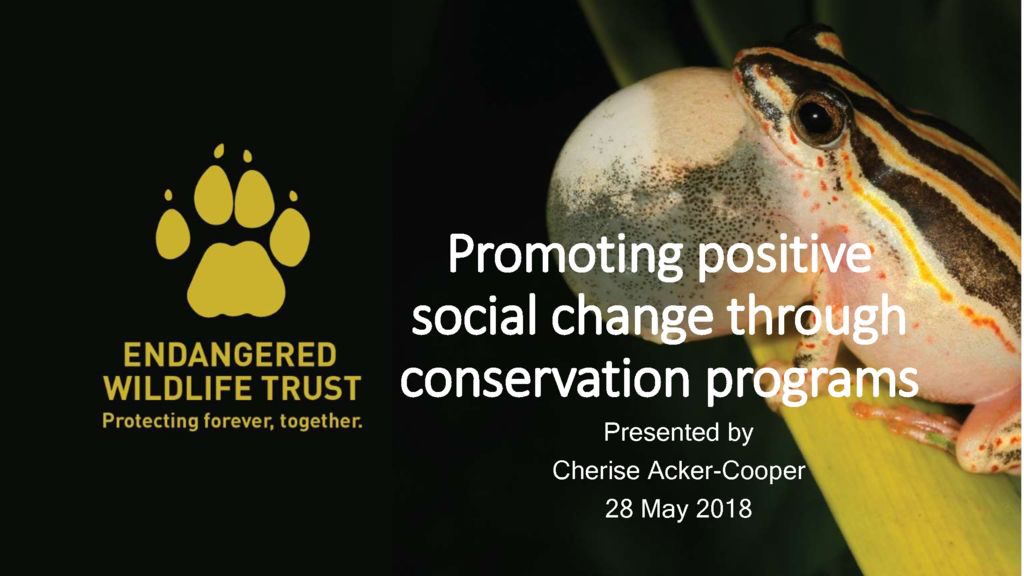 thumbnail of Cherise Acker – Promoting Social Change CCO Presentation Final