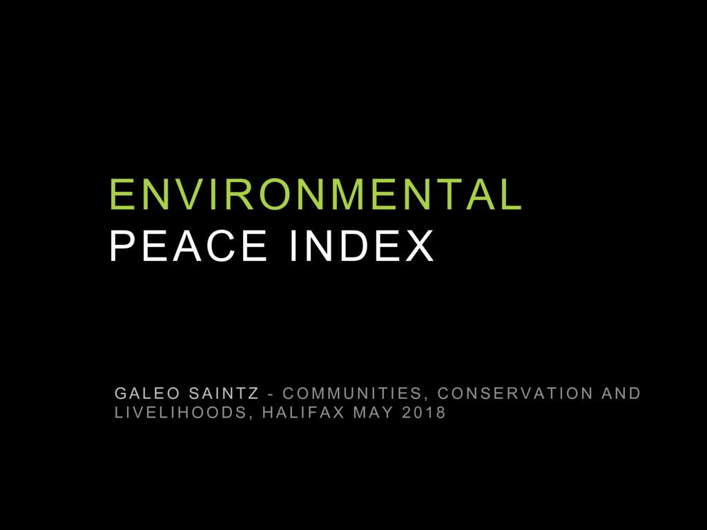 thumbnail of ENVIRONMENTAL PEACE INDEX – galeo