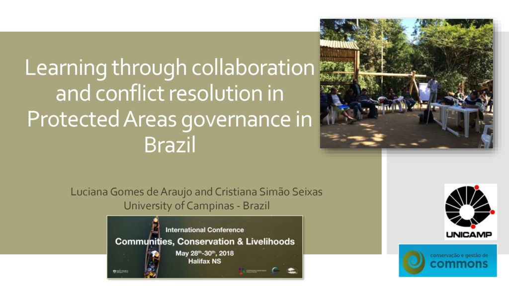 thumbnail of papers_1B_Araujo_Seixas_Learning_Brazil