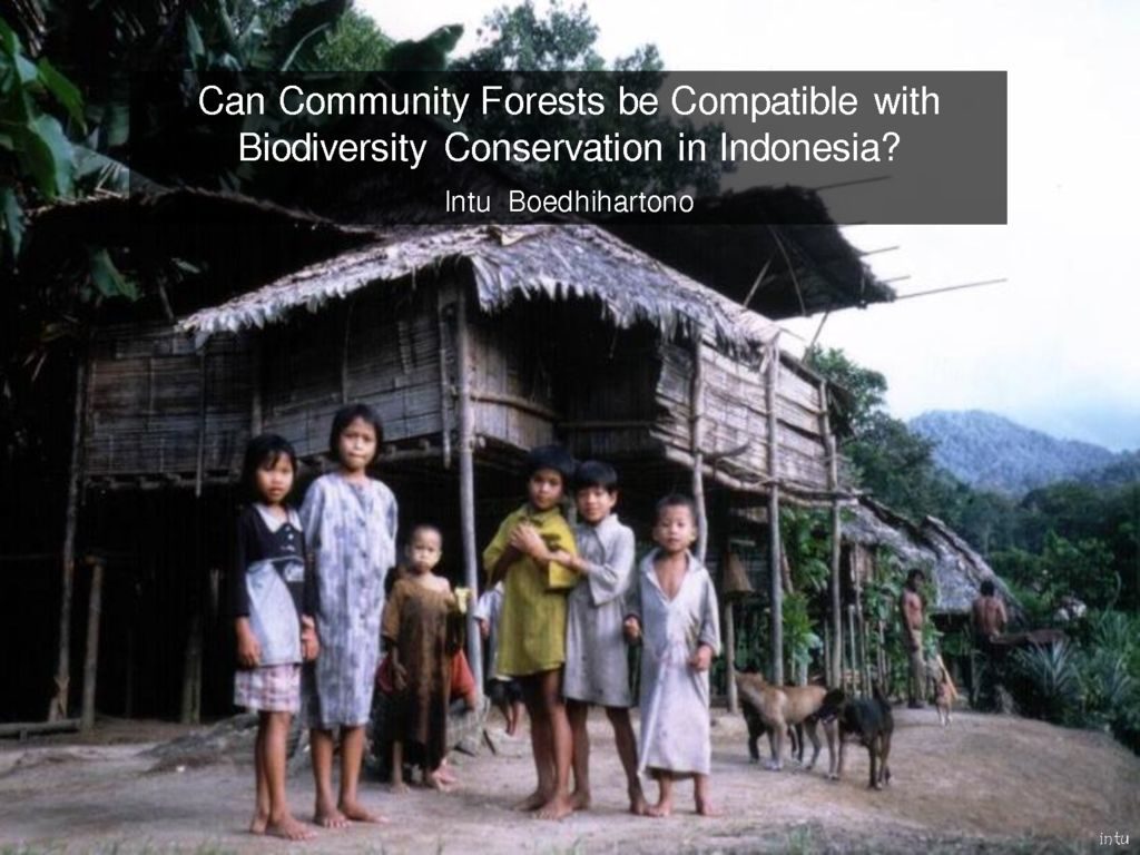 thumbnail of Intus pp communities and biodiversity