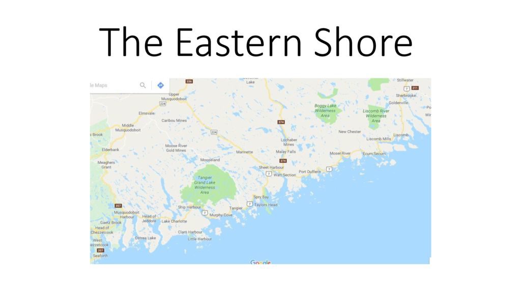 thumbnail of The Eastern Shore