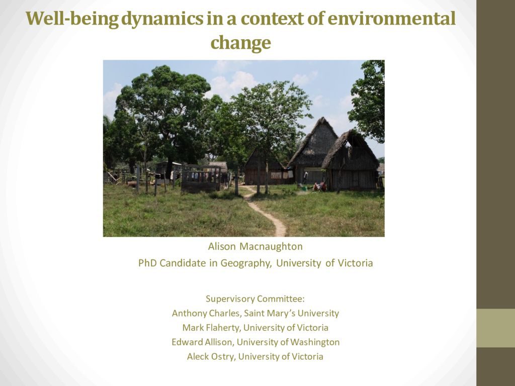 thumbnail of macnaughton_CCL2018_wellbeing dynamics Amazon communities