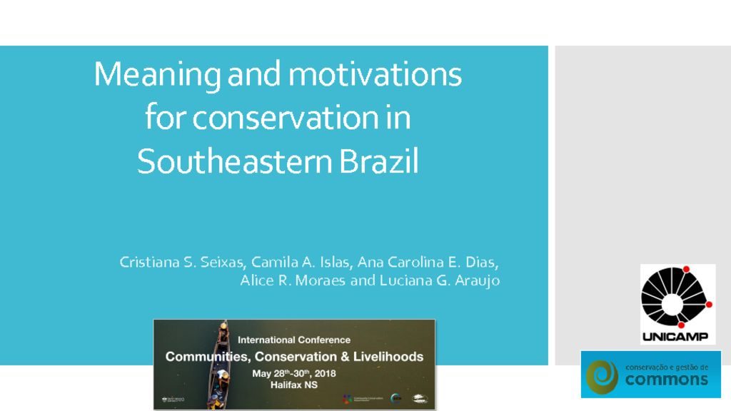thumbnail of 3. Papers_5B_Seixas_etal_Meaning_Motivation_Brazil