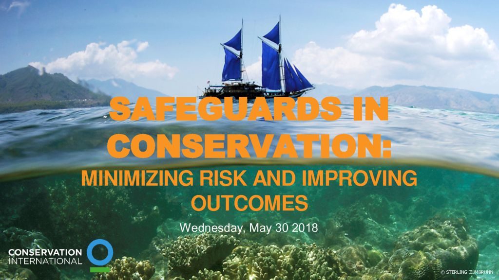 thumbnail of 2. Conservation Safeguards_Final – FONTS
