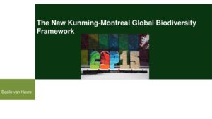 thumbnail of Basile van Havre – The New Kunming-Montreal Global Biodiversity Framework (Webinar March 10 2023)